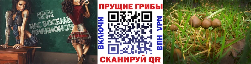 Купить  Ханты-Мансийск  Галлюциногенные грибы мухоморы 